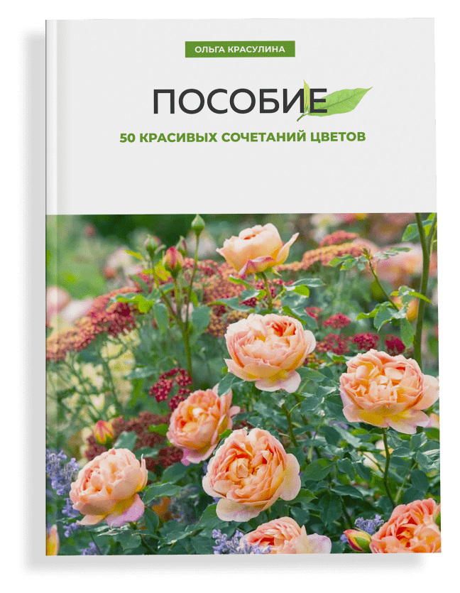 50 красивых сочетаний цветов